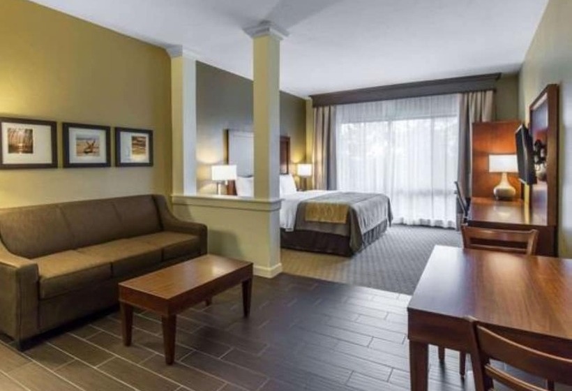 فندق Comfort Inn Naples East I75