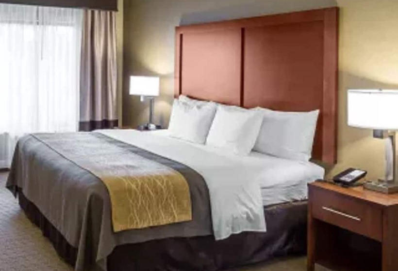 فندق Comfort Inn Naples East I75