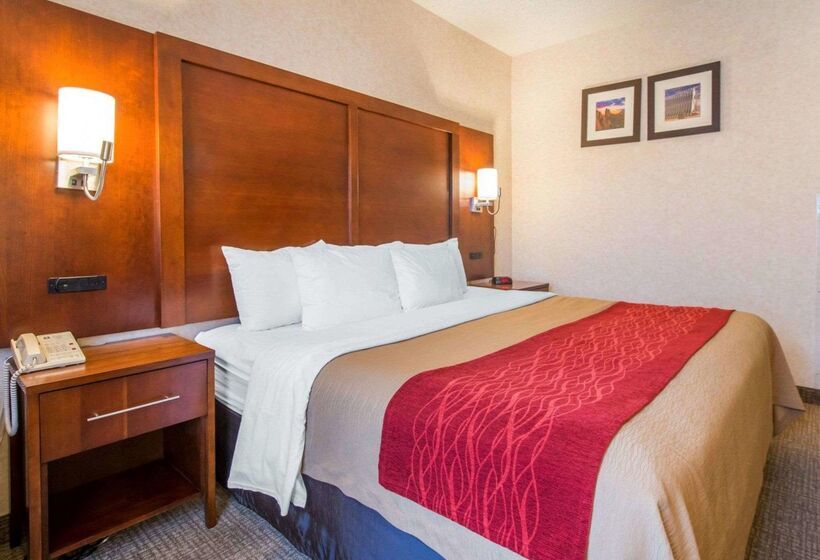 ホテル Comfort Inn North  Air Force Academy Area