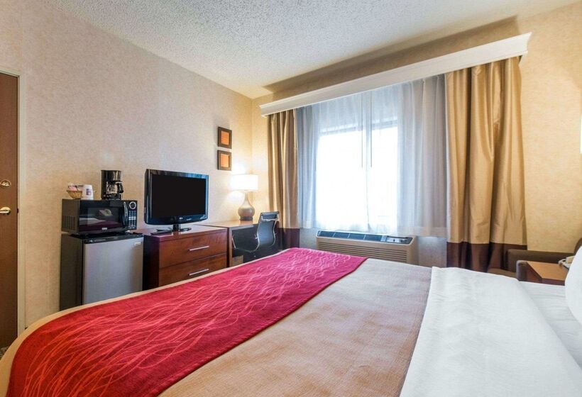 ホテル Comfort Inn North  Air Force Academy Area