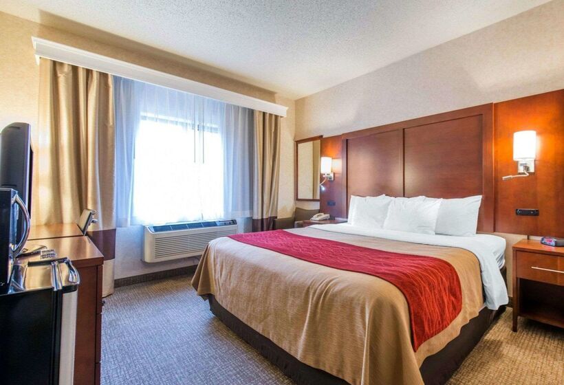 ホテル Comfort Inn North  Air Force Academy Area