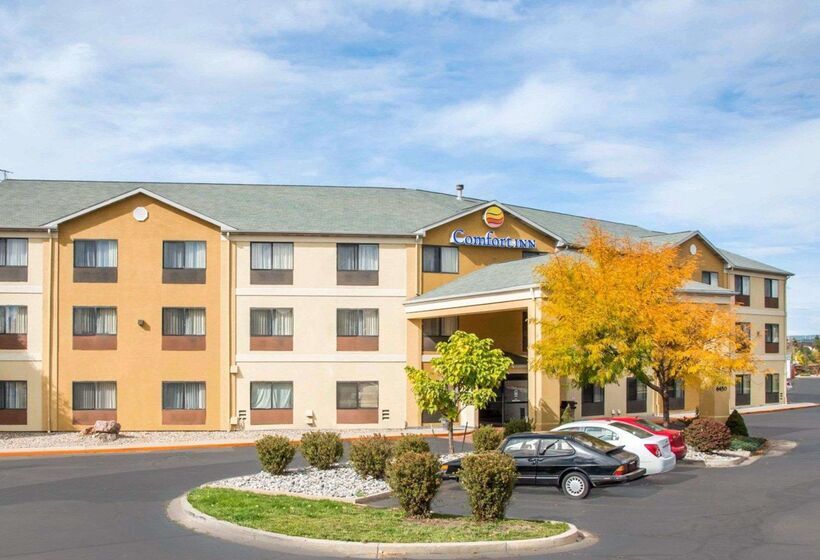 ホテル Comfort Inn North  Air Force Academy Area