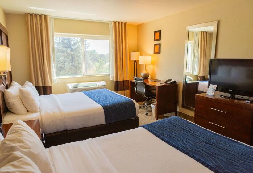 ホテル Comfort Inn North  Air Force Academy Area