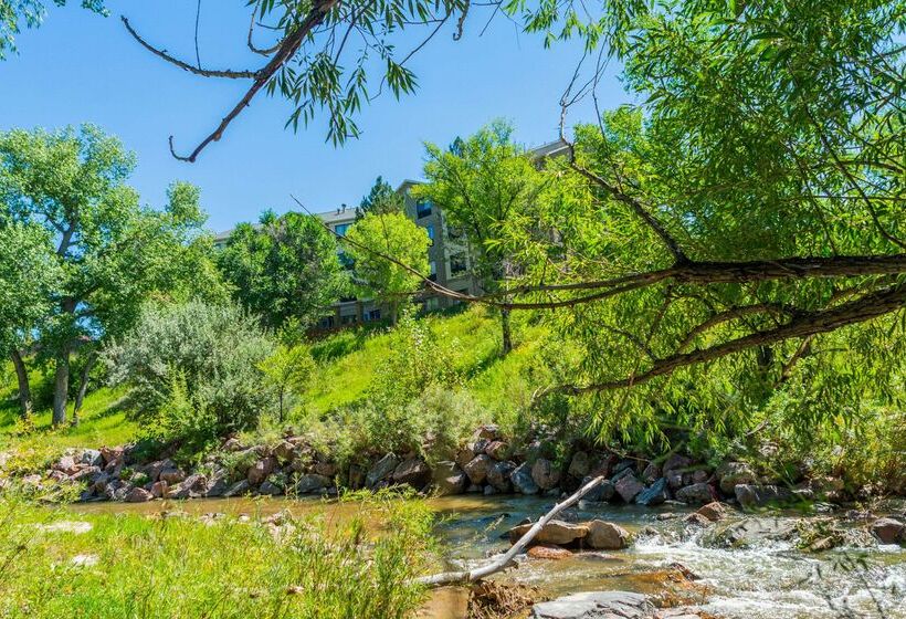 ホテル Comfort Inn North  Air Force Academy Area