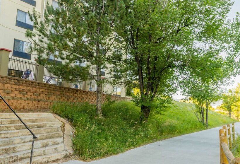 ホテル Comfort Inn North  Air Force Academy Area