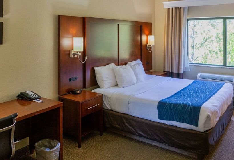 ホテル Comfort Inn North  Air Force Academy Area