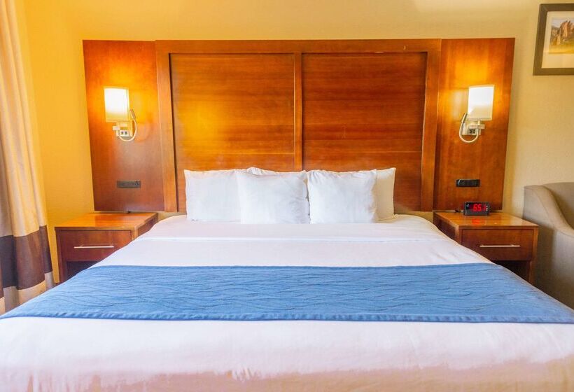 ホテル Comfort Inn North  Air Force Academy Area