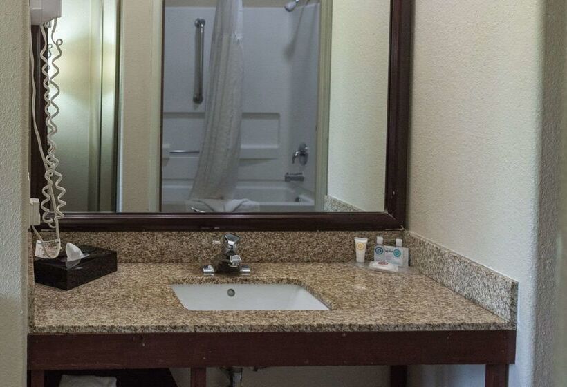 ホテル Comfort Inn North  Air Force Academy Area