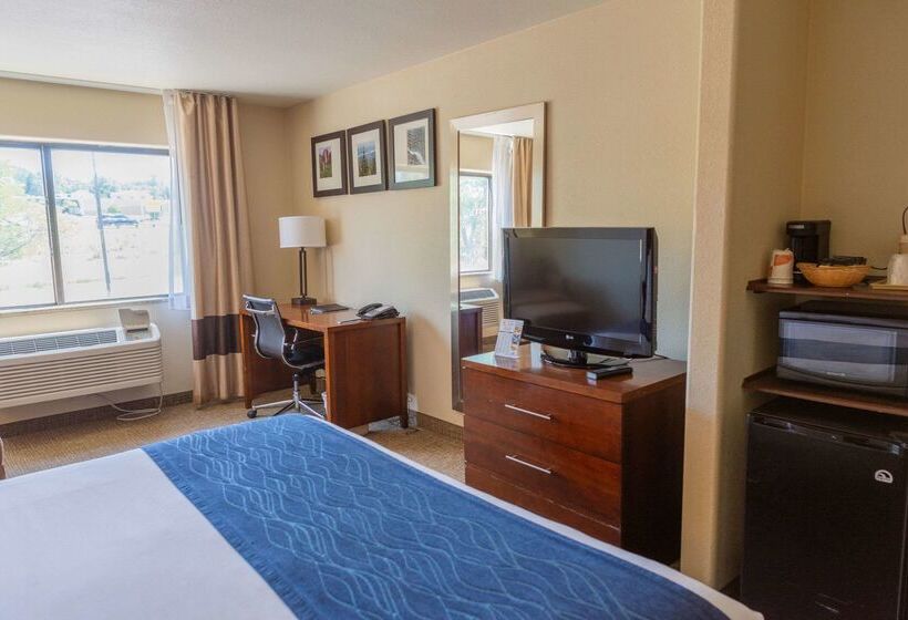 ホテル Comfort Inn North  Air Force Academy Area