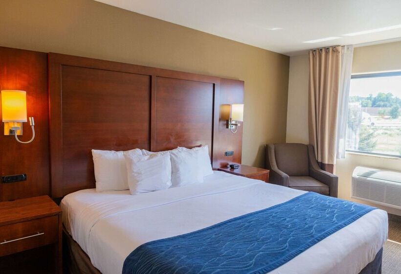 ホテル Comfort Inn North  Air Force Academy Area