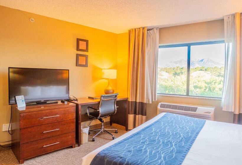 Отель Comfort Inn North Air Force Academy Area