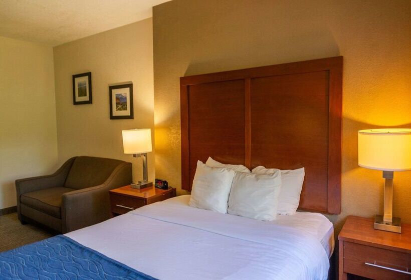 ホテル Comfort Inn North  Air Force Academy Area