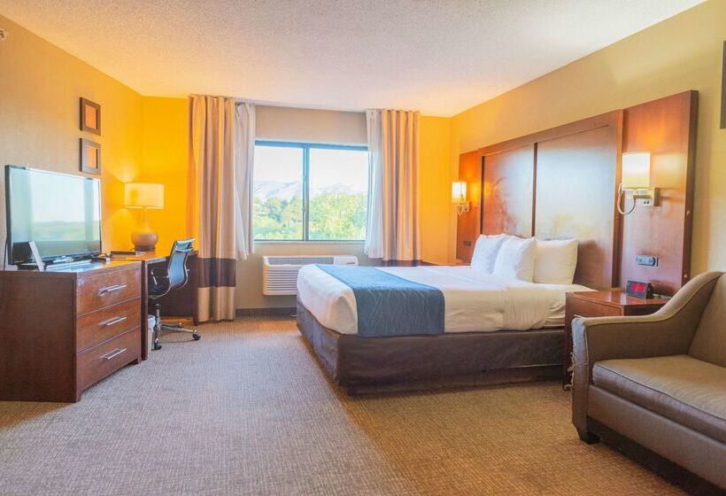 ホテル Comfort Inn North  Air Force Academy Area