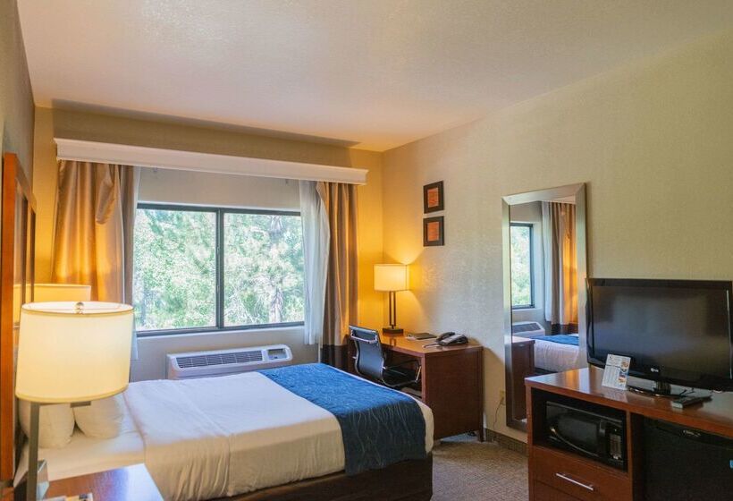 ホテル Comfort Inn North  Air Force Academy Area