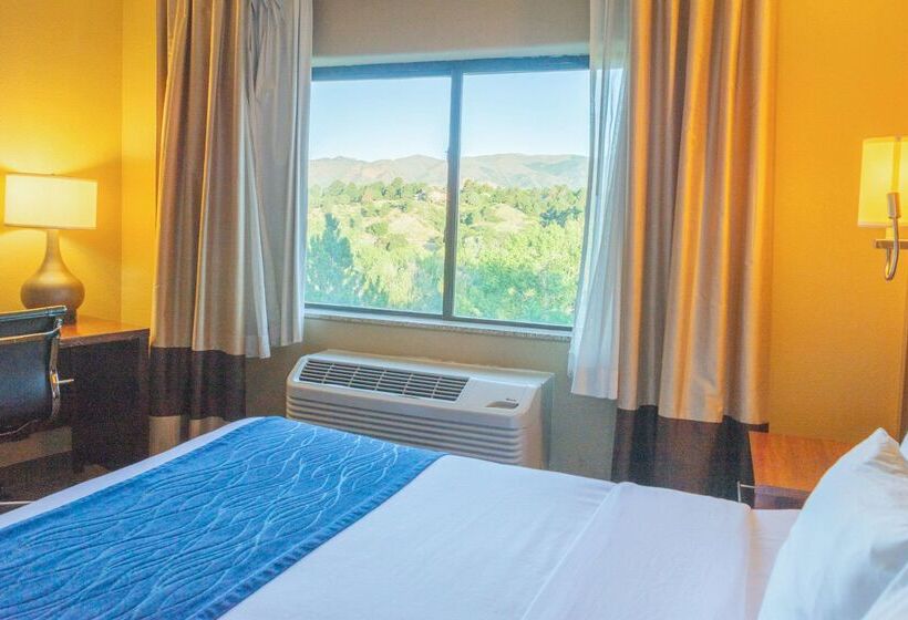 Отель Comfort Inn North Air Force Academy Area