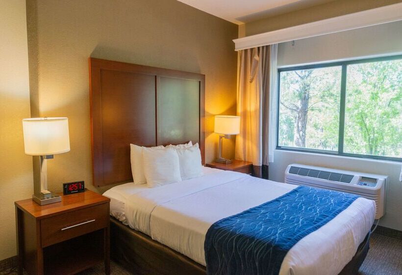 ホテル Comfort Inn North  Air Force Academy Area