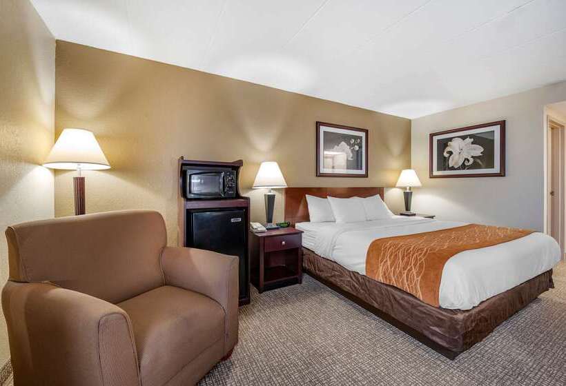 هتل Comfort Inn Northeast