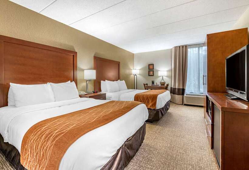 هتل Comfort Inn Northeast