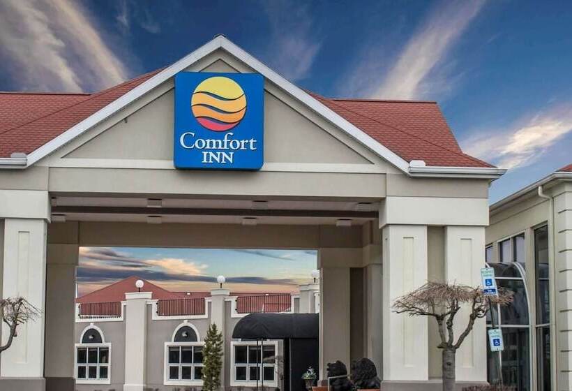 酒店 Comfort Inn Sandusky