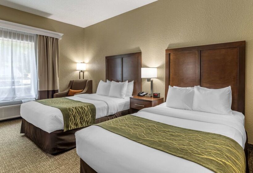 فندق Comfort Inn South