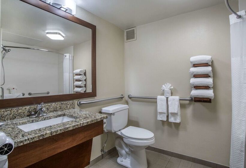 فندق Comfort Inn South