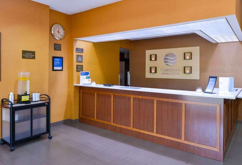 فندق Comfort Inn & Suites
