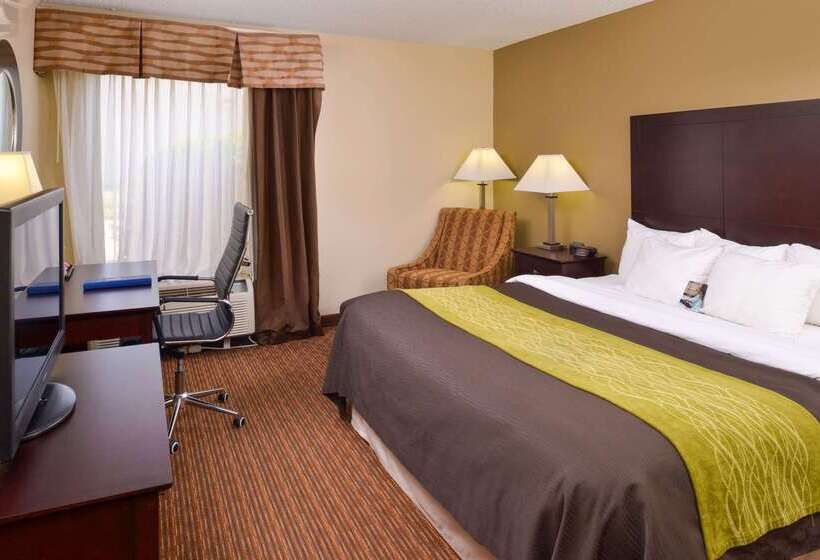 فندق Comfort Inn & Suites