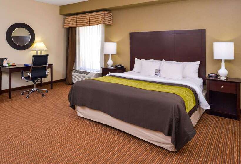 فندق Comfort Inn & Suites