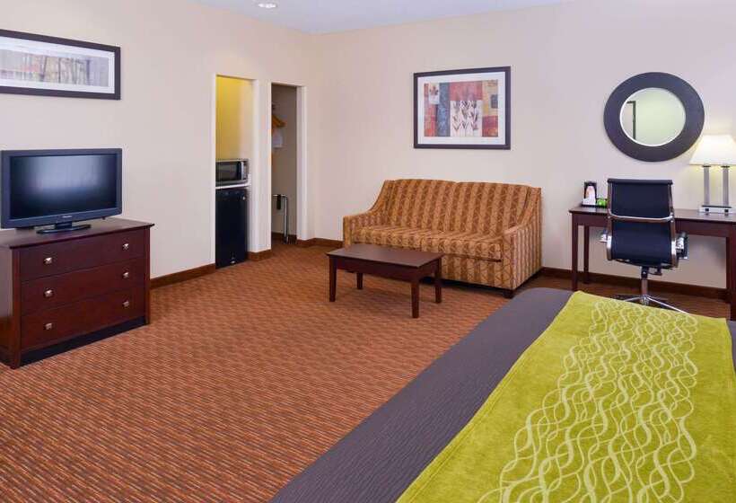 فندق Comfort Inn & Suites