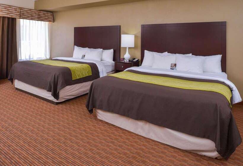 فندق Comfort Inn & Suites