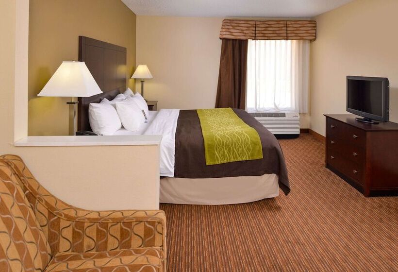 فندق Comfort Inn & Suites