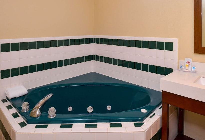 فندق Comfort Inn & Suites