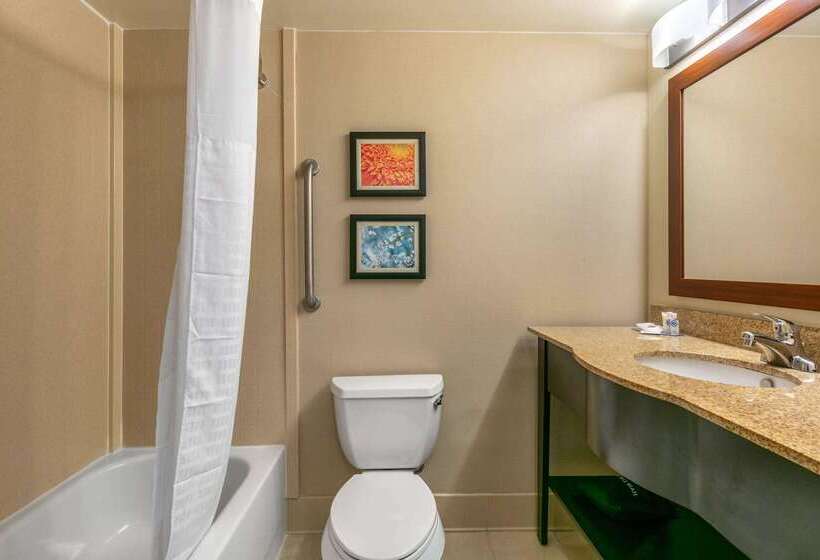 فندق Comfort Inn & Suites Nashville Franklin Cool Springs