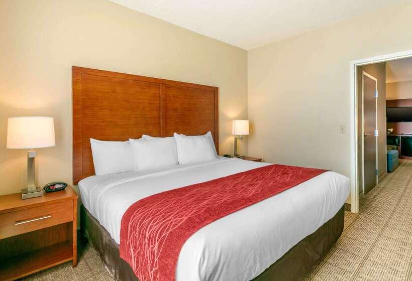 فندق Comfort Inn & Suites Nashville Franklin Cool Springs