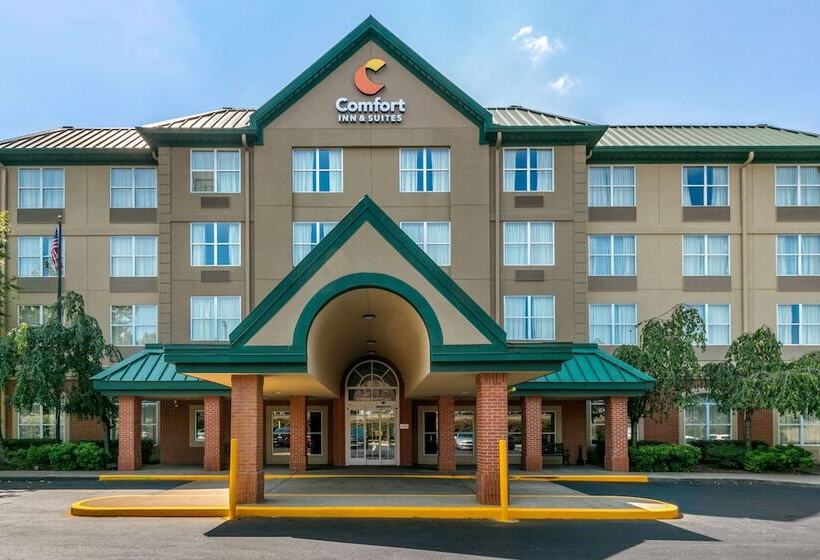בית מלון כפרי Comfort Inn & Suites Nashville Franklin Cool Springs