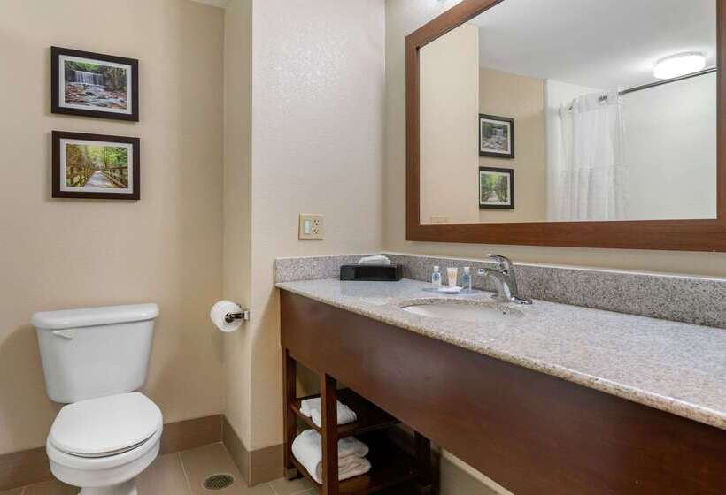 هتل Comfort Inn & Suites