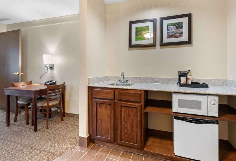 هتل Comfort Inn & Suites