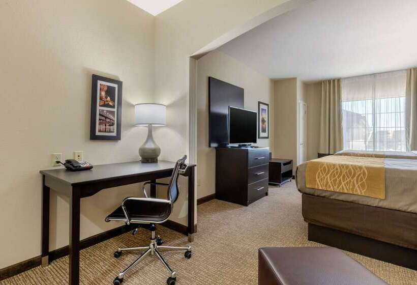 هتل Comfort Inn & Suites North Little Rock Mccain Mall