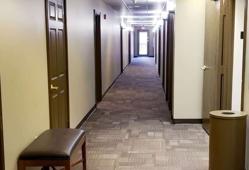 هتل Comfort Inn & Suites Tempe Phoenix Sky Harbor Airport