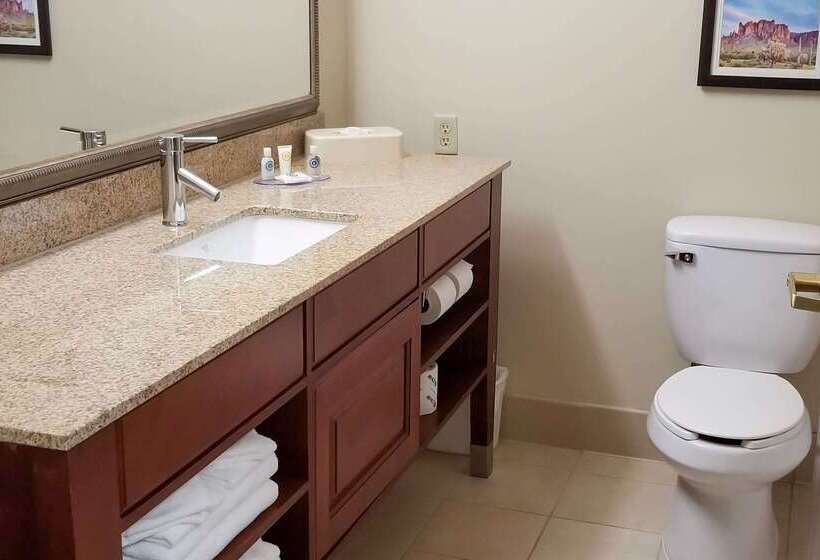 هتل Comfort Inn & Suites Tempe Phoenix Sky Harbor Airport