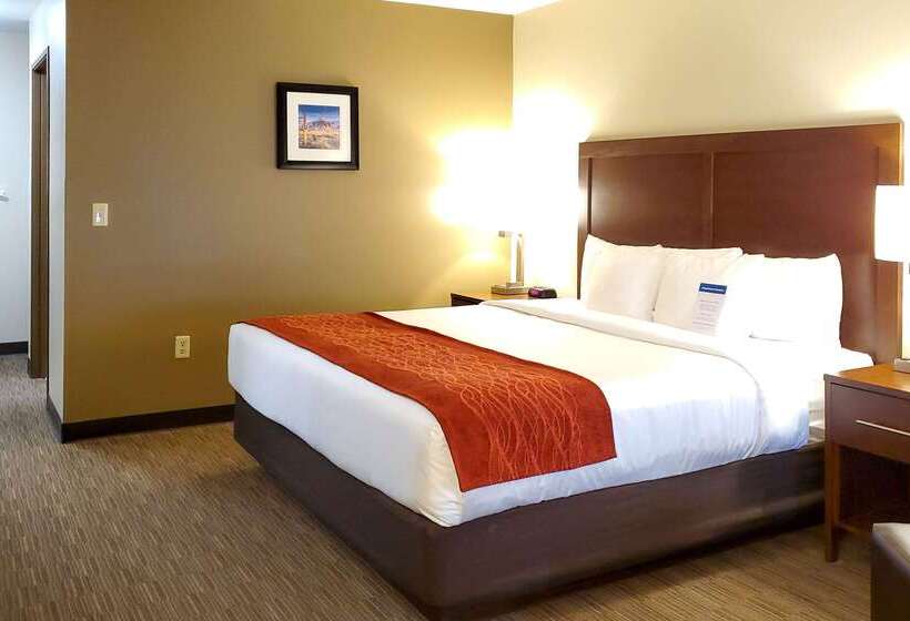 هتل Comfort Inn & Suites Tempe Phoenix Sky Harbor Airport