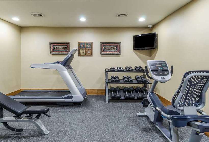 酒店 Comfort Inn & Suites