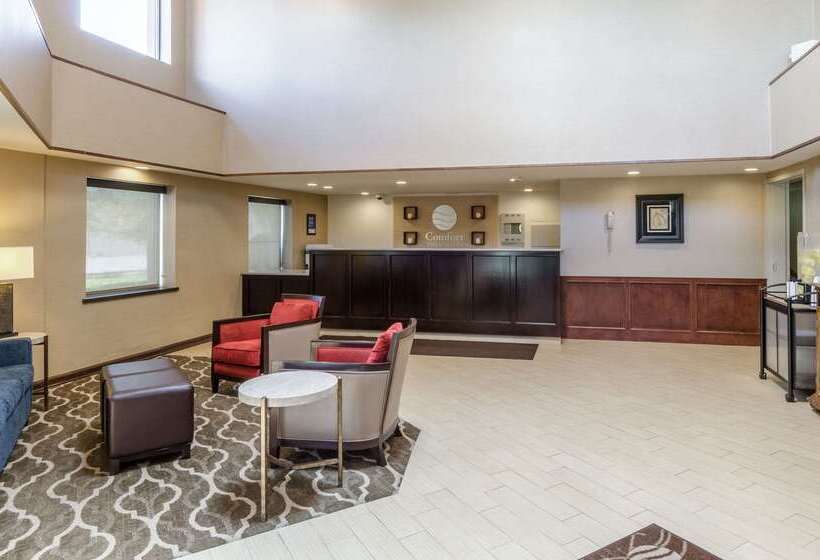 酒店 Comfort Inn & Suites