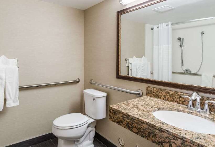 酒店 Comfort Inn & Suites