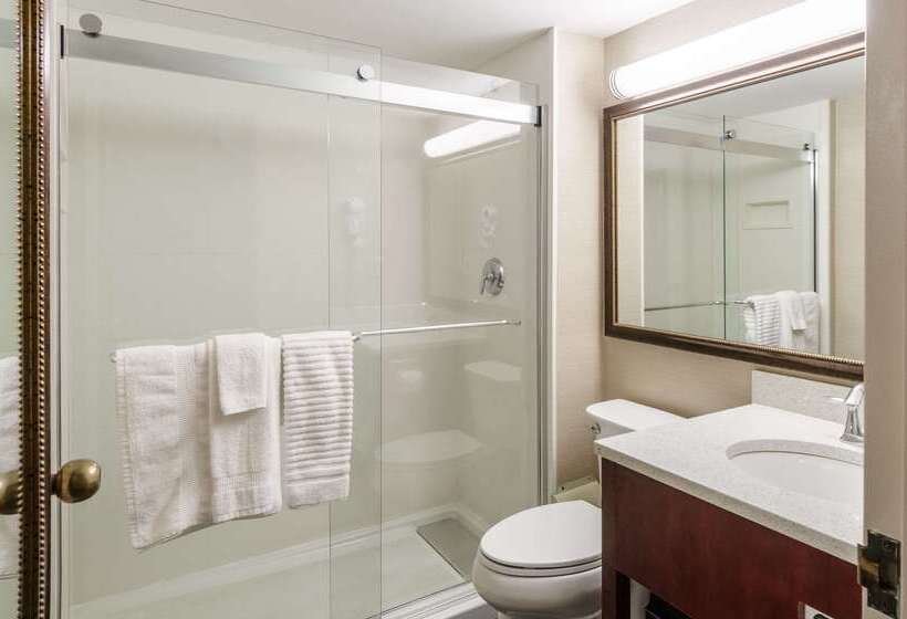 酒店 Comfort Inn & Suites