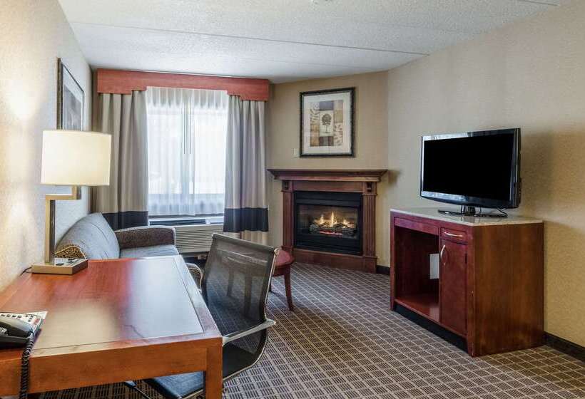 酒店 Comfort Inn & Suites