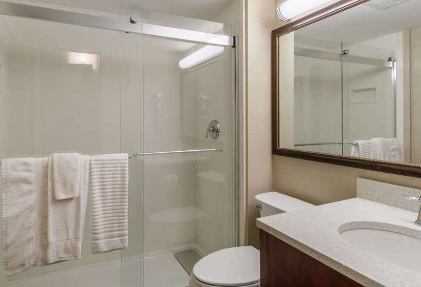 酒店 Comfort Inn & Suites