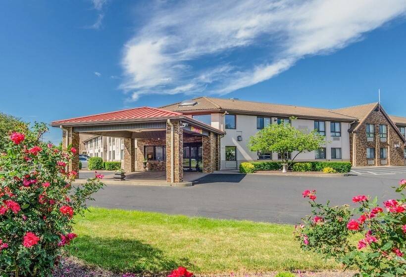 酒店 Comfort Inn & Suites