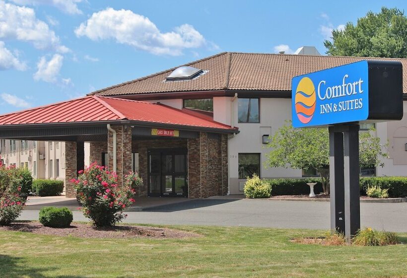 酒店 Comfort Inn & Suites