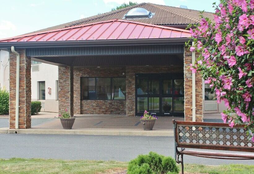 酒店 Comfort Inn & Suites